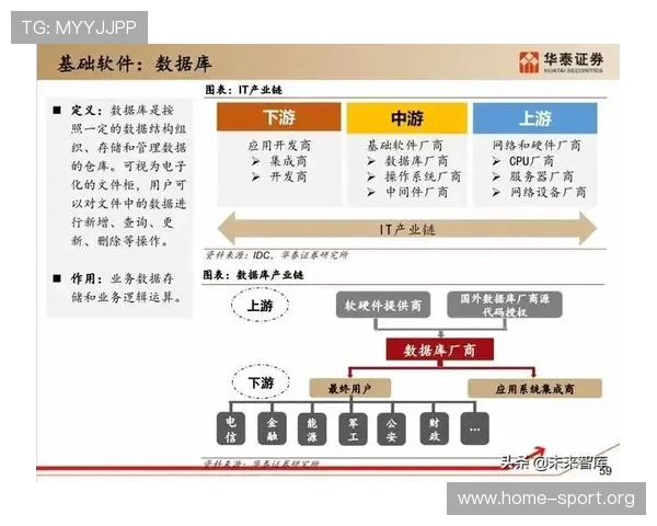 七号体育深度解析最新赛事动态与运动员表现全景报道