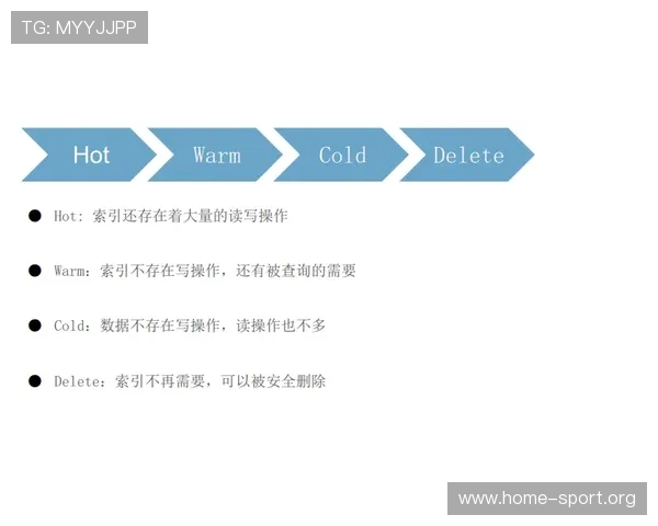 Pinnacle中文平台核心功能深度解析与实战操作技巧指南