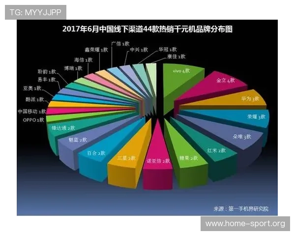66体育打造全新赛事互动体验助力球迷畅享实时比分与深度分析